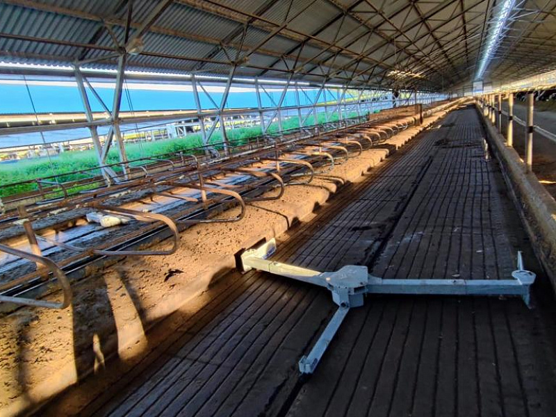 Реконструкция навозных аллей и монтаж системы навозоудаления производства АТ.